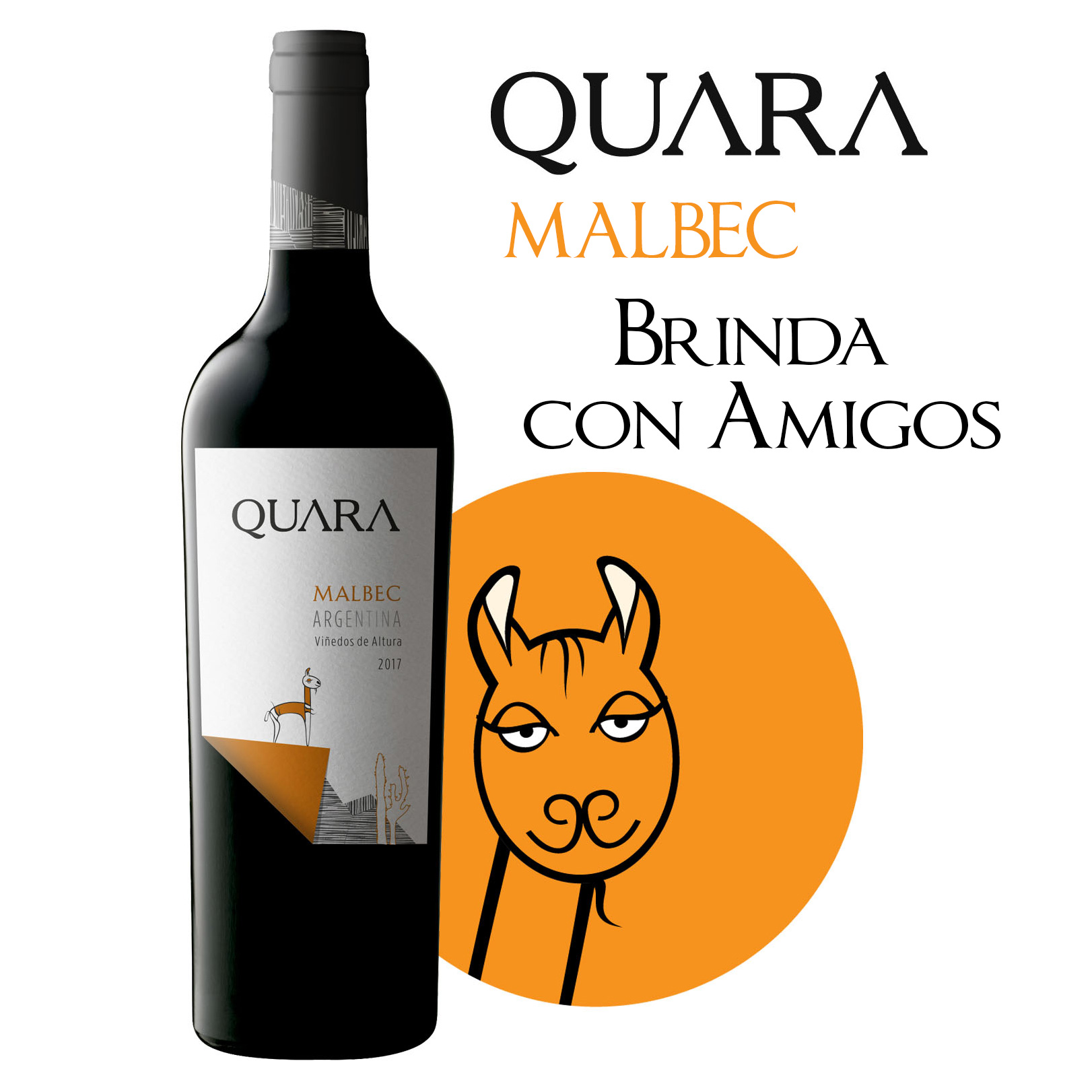 oferta-24-Quara-Malbec-promocion-en-supermercados-Bambi